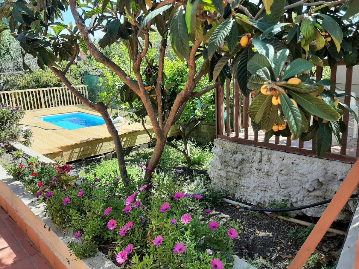 Carrubo - Giardino in città Aeroporto di Catania Fontana Rossa Esterno foto