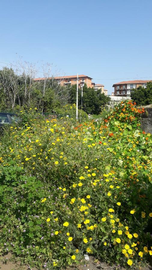 Carrubo - Giardino in città Aeroporto di Catania Fontana Rossa Esterno foto